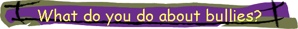 What do you do about bullies?